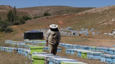 Gezgin Arıcılığa Destek Çağrısı: “Üretimi Destekleyin, Verim Artsın”