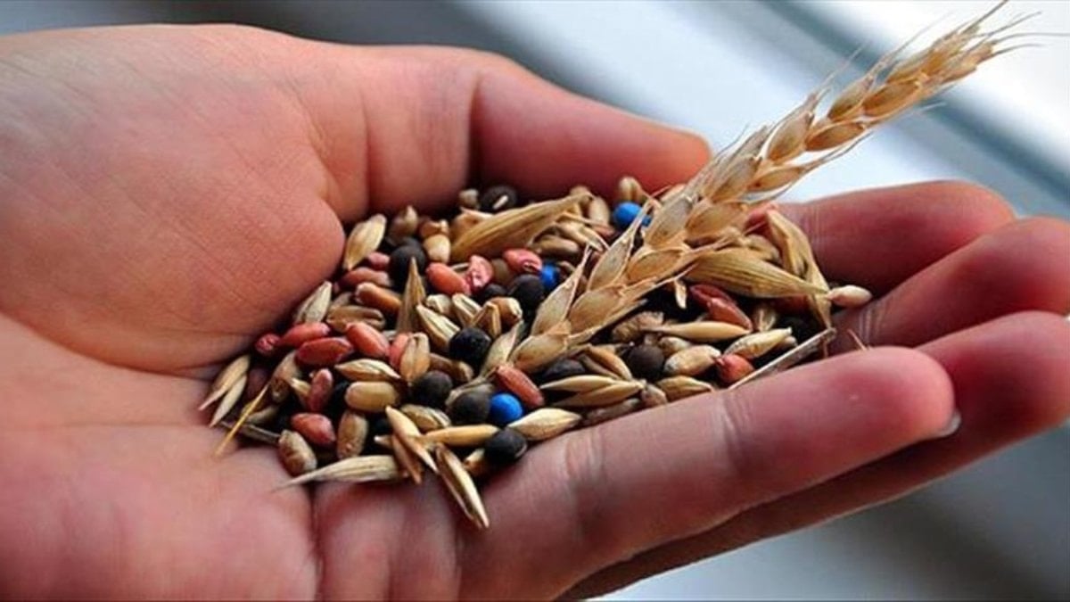 Türkiye’ye 39 Yeni Yerli Tohum Çeşidi