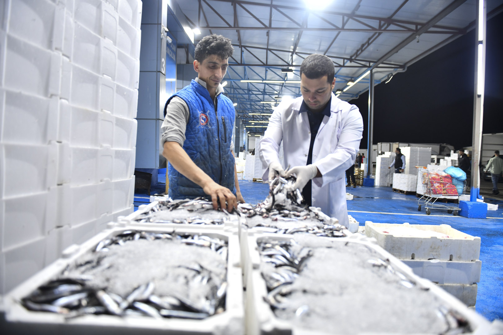 ABB’DEN BALIK HALİ’NDE SIKI DENETİM