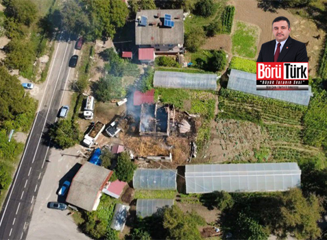 Bartın’da Ahşap Ev Alevlere Teslim Oldu: 9 Büyükbaş Hayvan Telef Oldu