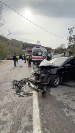 Kozcağız–Hasankadı Yolunda Kazada 3 Kişi Yaralandı