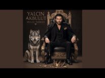 Yalçın Akbulut, “Kralını Tanımam” Albümüyle Buluştu