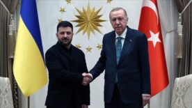 Zelenski ve Putin Görüşmesi İçin İmkanlar Üzerine